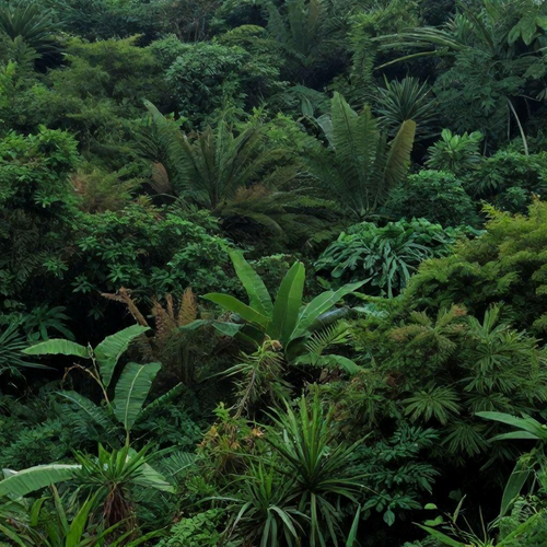 Relatórios Ambientais Preliminares: Guia Essencial para Projetos Sustentáveis e seus Benefícios