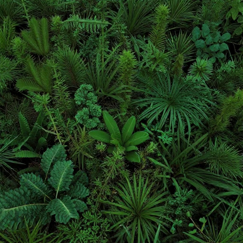 Biorremediação de Solos Contaminados: Como a Natureza Pode Restaurar Áreas Degradadas