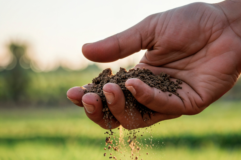 Análise de Solo: Fundamental para Cultivos Sustentáveis e Alta Produtividade