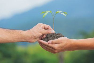 Consultoria ambiental são paulo