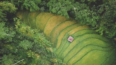 Diagnóstico ambiental da área de influência